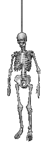 Hanging skeleton alt
