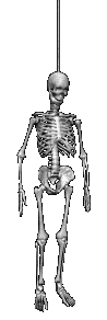 Hanging skeleton